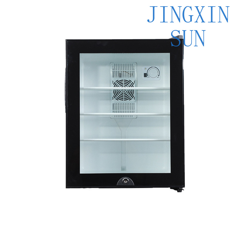 Wine Beer Fridge Small - Mini Fridge Cooler 40L Refrigerator Glass