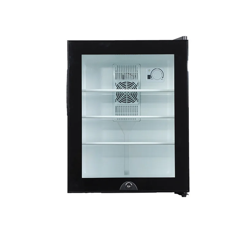 Wine Beer Fridge Small - Mini Fridge Cooler 40L Refrigerator Glass