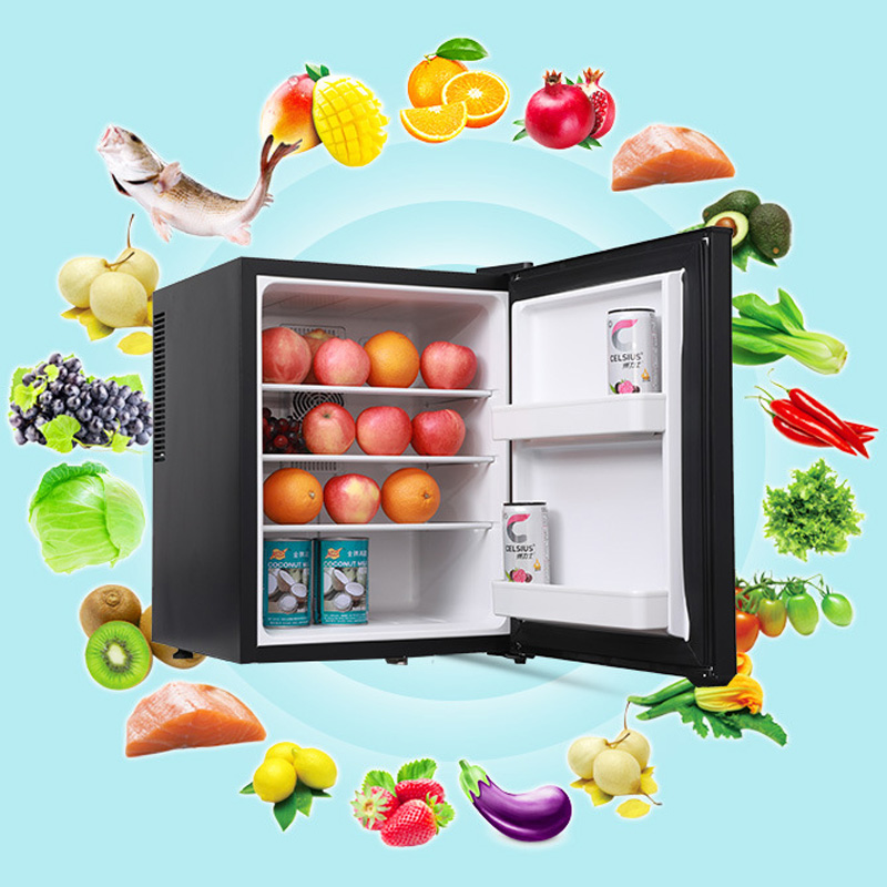 Mini Fridge Cooler 40L Refrige - Wine Beer Fridge Small review and price