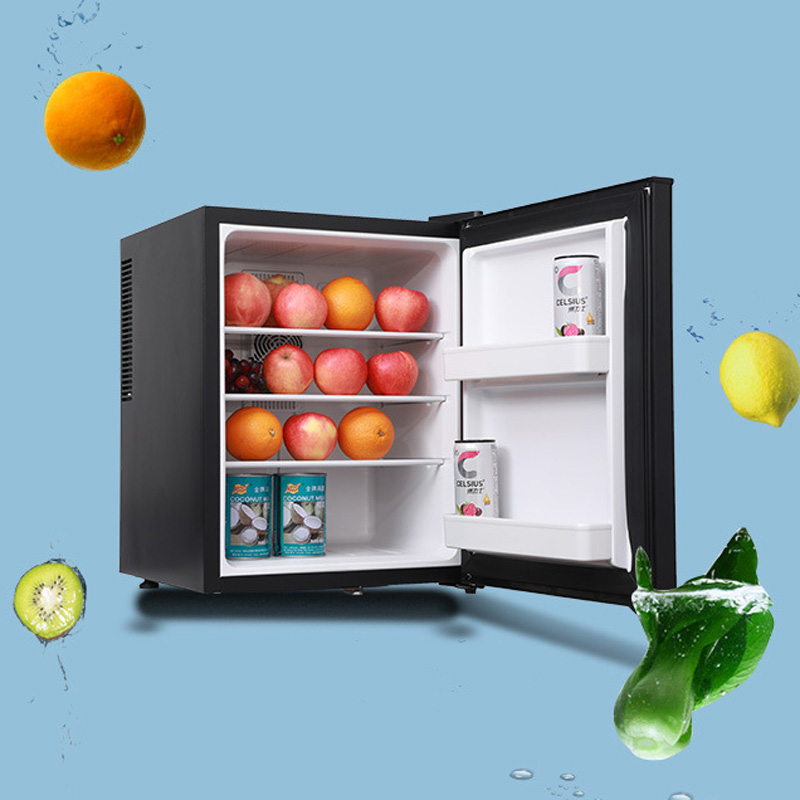 Mini Fridge Cooler 40L Refrige - Wine Beer Fridge Small review and price