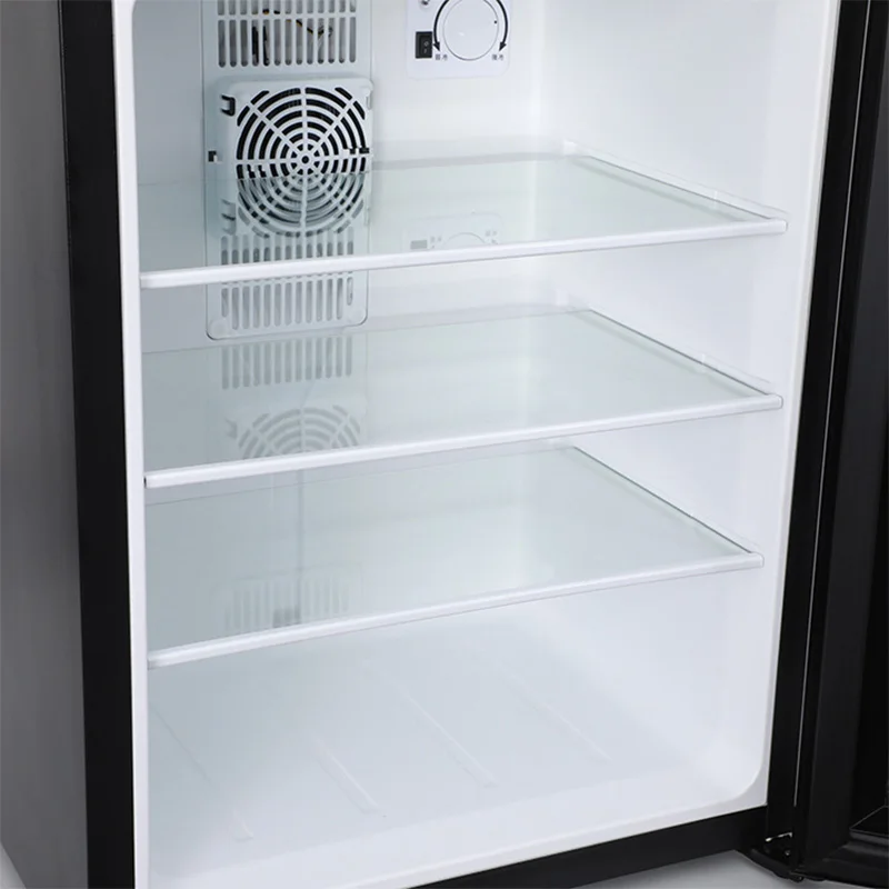 Mini Fridge Cooler 40L Refrige - Wine Beer Fridge Small review and price